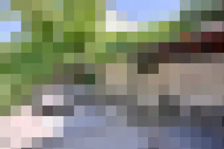 Vijfmorgenstraat 3 Zutphen thumbnail 41