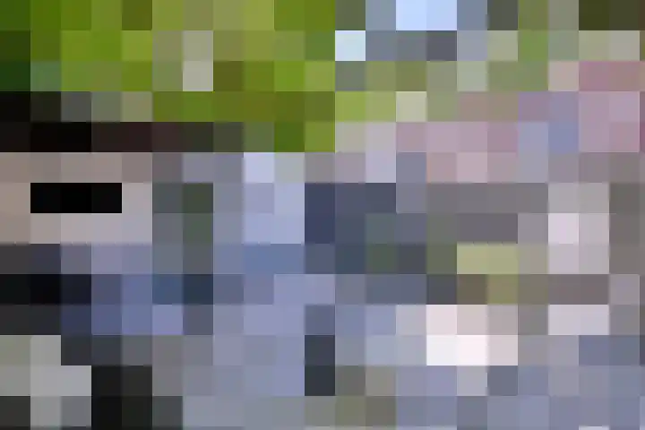 Vijfmorgenstraat 3 Zutphen thumbnail 42