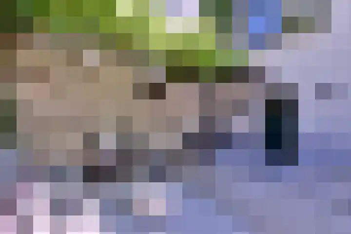 Vijfmorgenstraat 3 Zutphen thumbnail 43