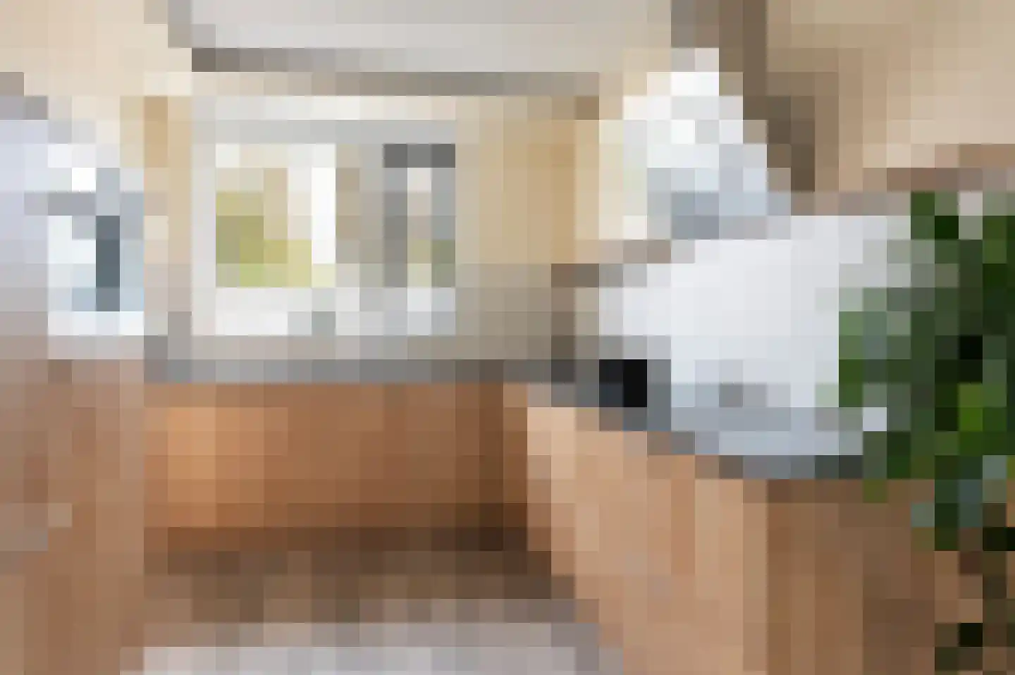 Vijfmorgenstraat 67 Zutphen thumbnail 13