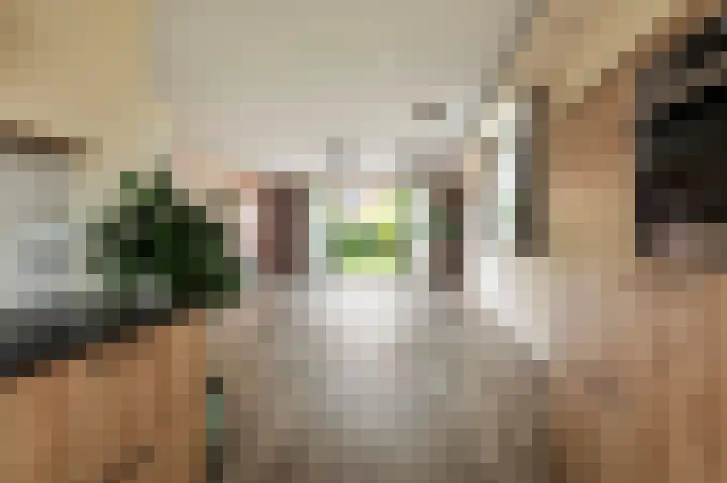 Vijfmorgenstraat 67 Zutphen thumbnail 14