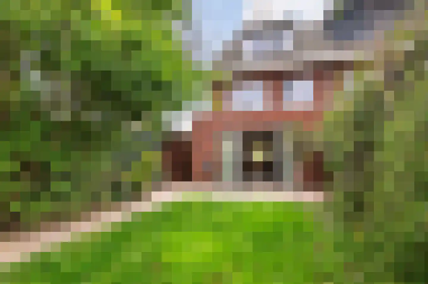 Vijfmorgenstraat 67 Zutphen thumbnail 16