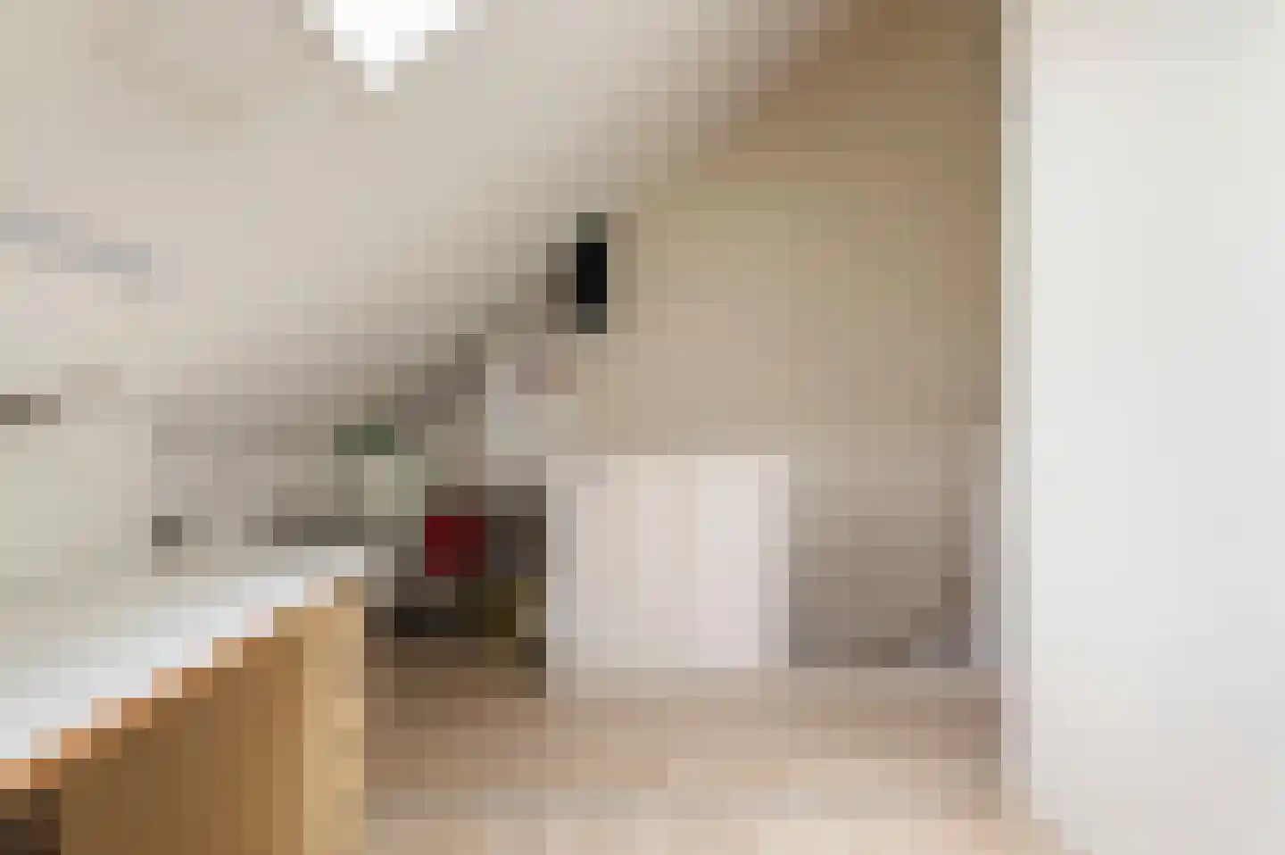 Vijfmorgenstraat 67 Zutphen thumbnail 31