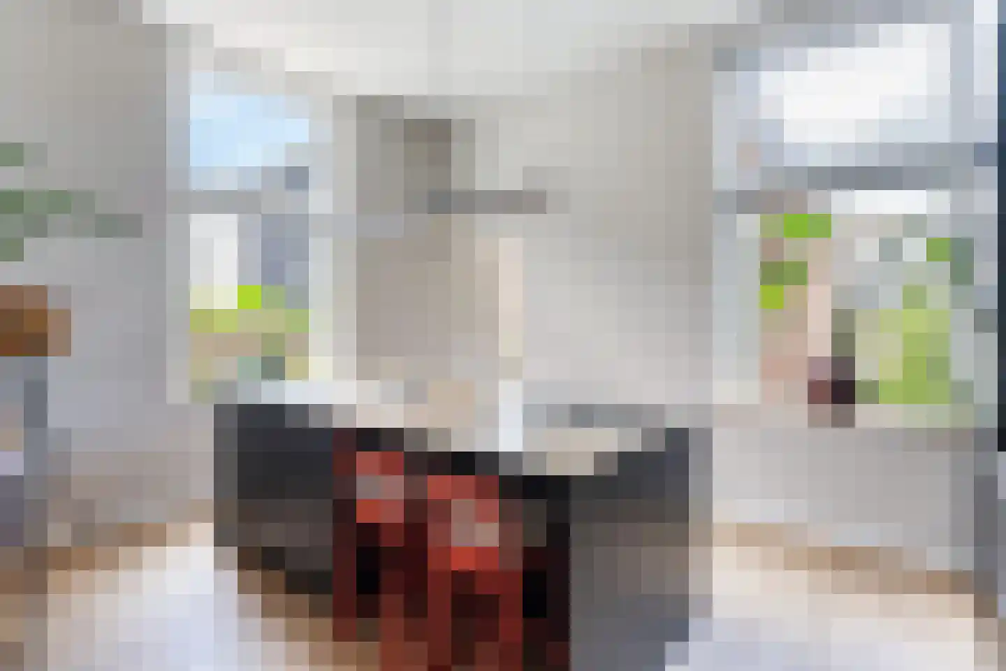 Vijfmorgenstraat 9 Zutphen thumbnail 16