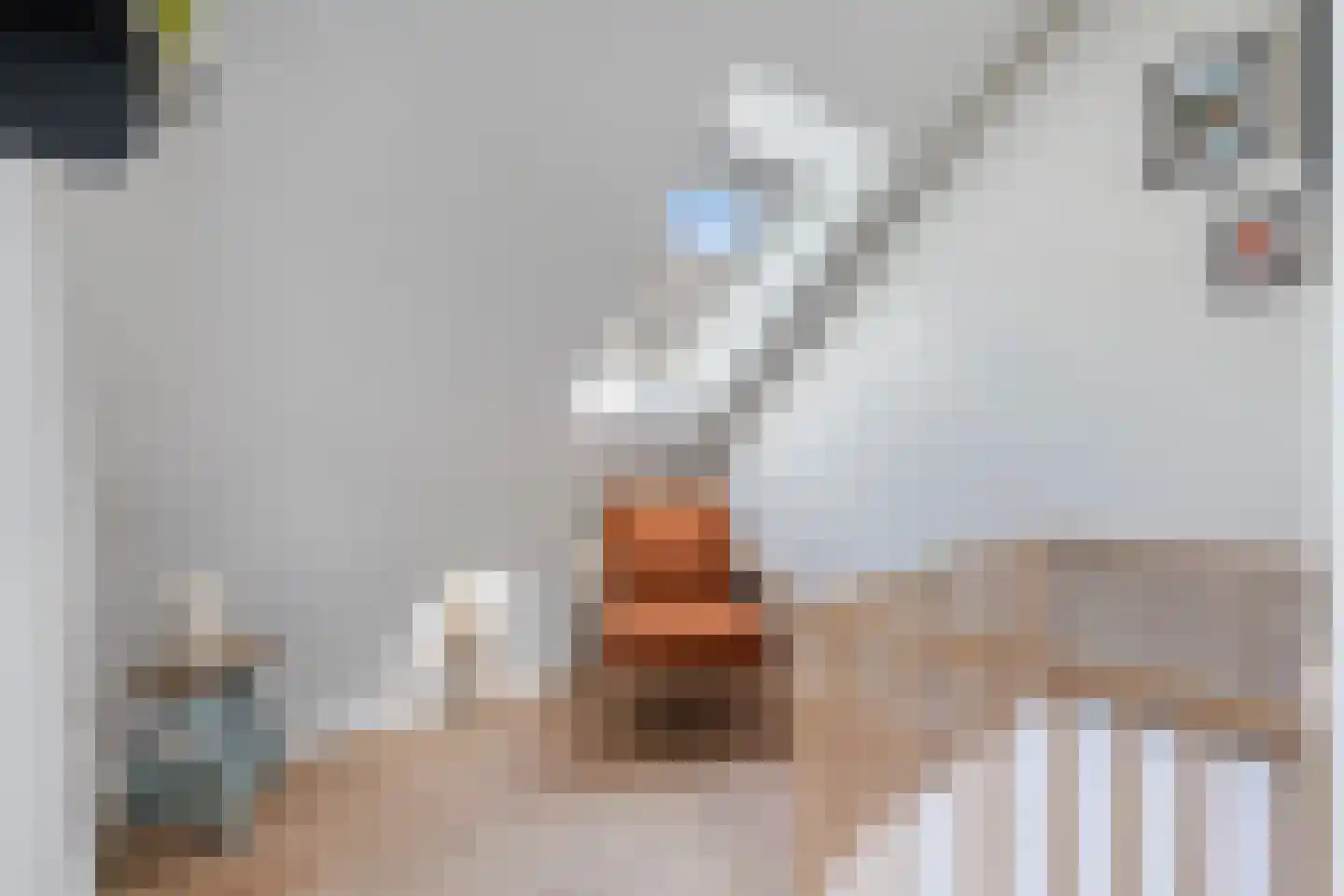 Vijfmorgenstraat 9 Zutphen thumbnail 27
