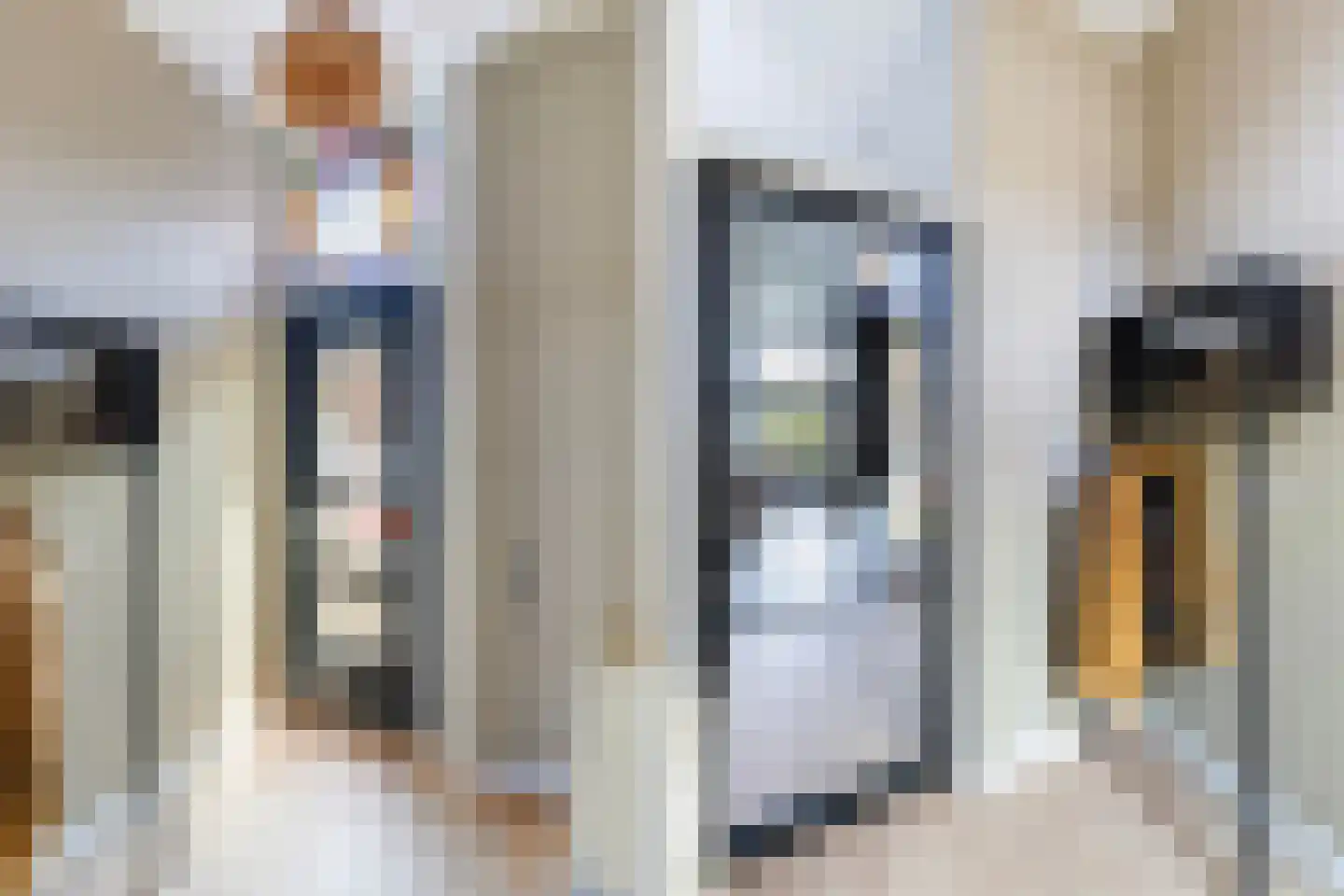 Vijfmorgenstraat 9 Zutphen thumbnail 5