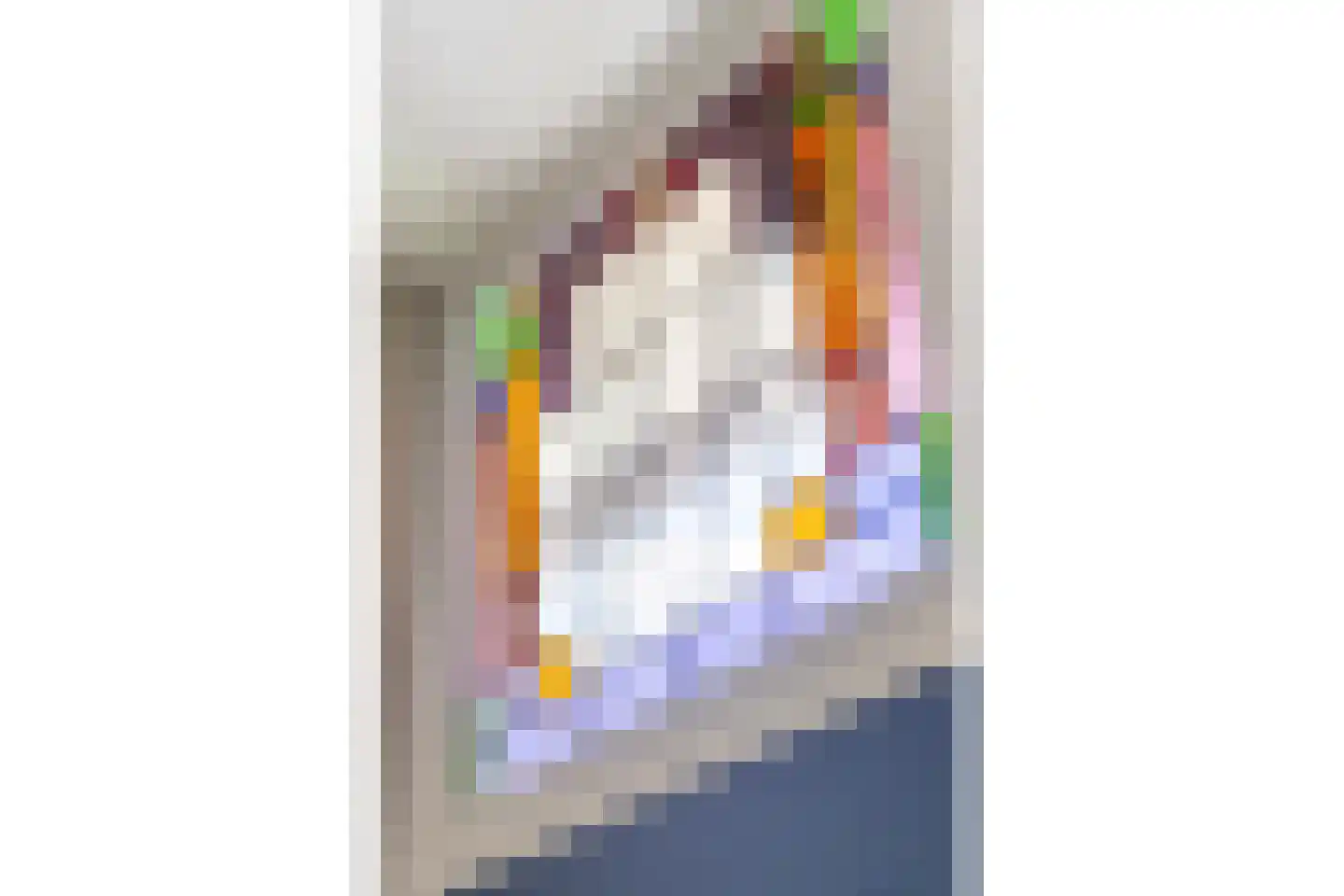Vijfmorgenstraat 9 Zutphen thumbnail 7