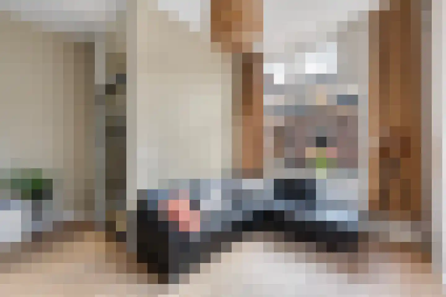 Vijfmorgenstraat 9 Zutphen thumbnail 8
