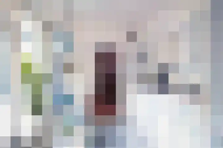 Vijfpotenweg 5 I Epe thumbnail 10