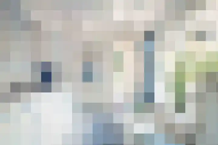 Vijfpotenweg 5 I Epe thumbnail 11
