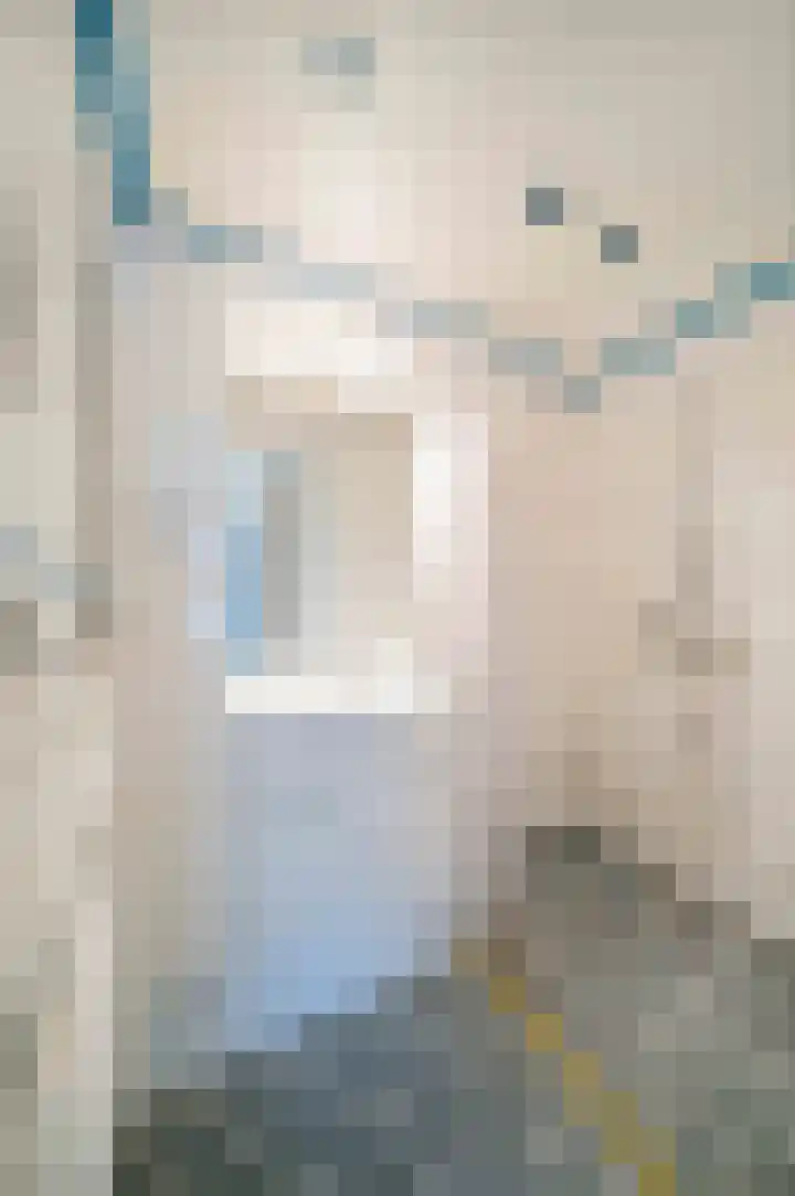 Vijfpotenweg 5 I Epe thumbnail 18