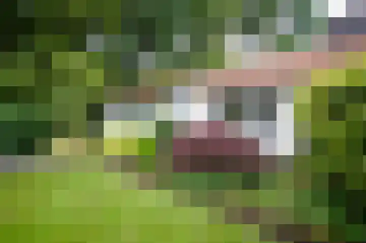 Vijfpotenweg 5 I Epe foto 2