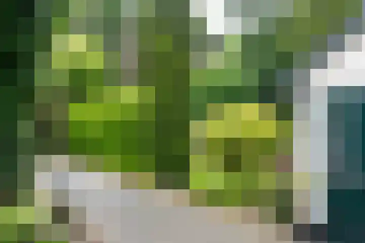 Vijfpotenweg 5 I Epe thumbnail 4