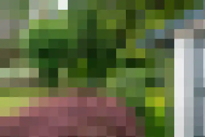 Vijfpotenweg 5 I Epe thumbnail 5