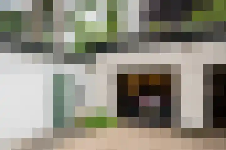 Vijfpotenweg 5 I Epe thumbnail 6