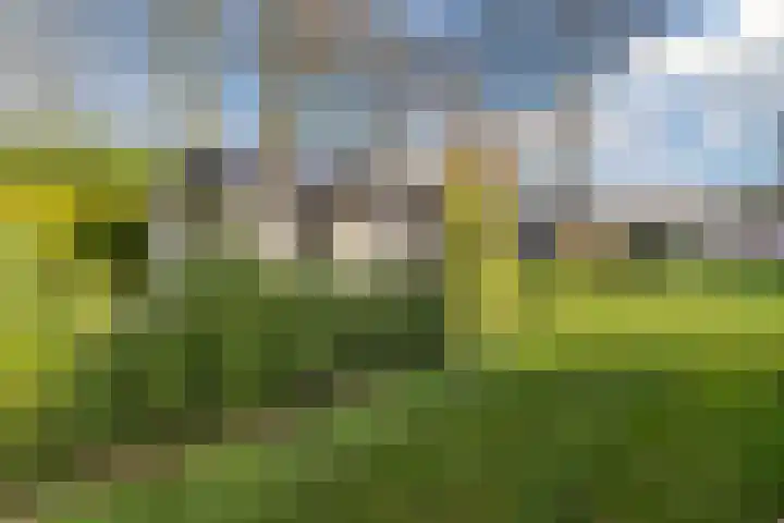 Vijfsprongweg 30 Wekerom