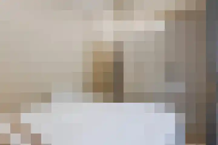 Vijfsprongweg 30 Wekerom thumbnail 16