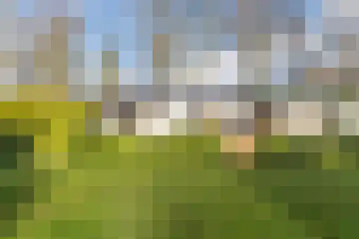 Vijfsprongweg 30 Wekerom thumbnail 26