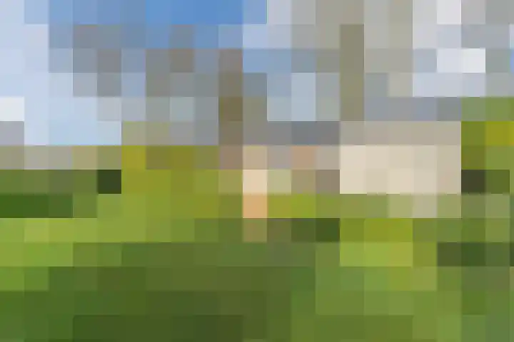 Vijfsprongweg 30 Wekerom thumbnail 27
