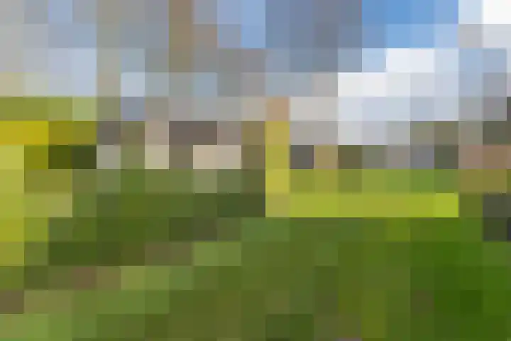 Vijfsprongweg 30 Wekerom thumbnail 28