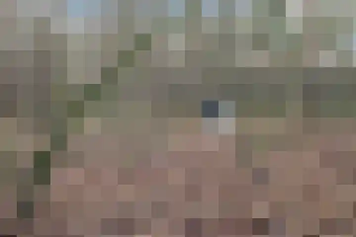 Vijfsprongweg 30 Wekerom thumbnail 31