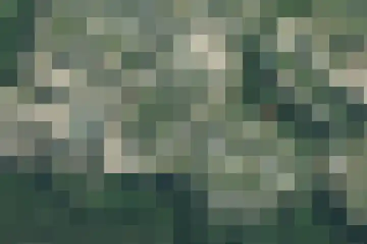 Vijfsprongweg 30 Wekerom thumbnail 32
