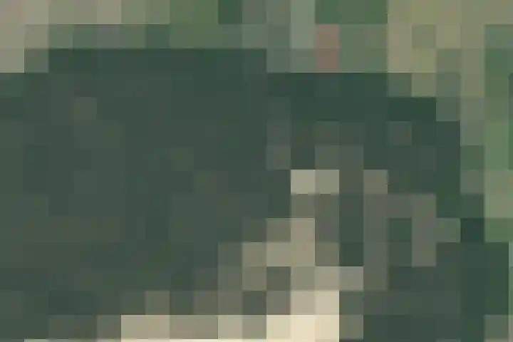 Vijfsprongweg 30 Wekerom thumbnail 33