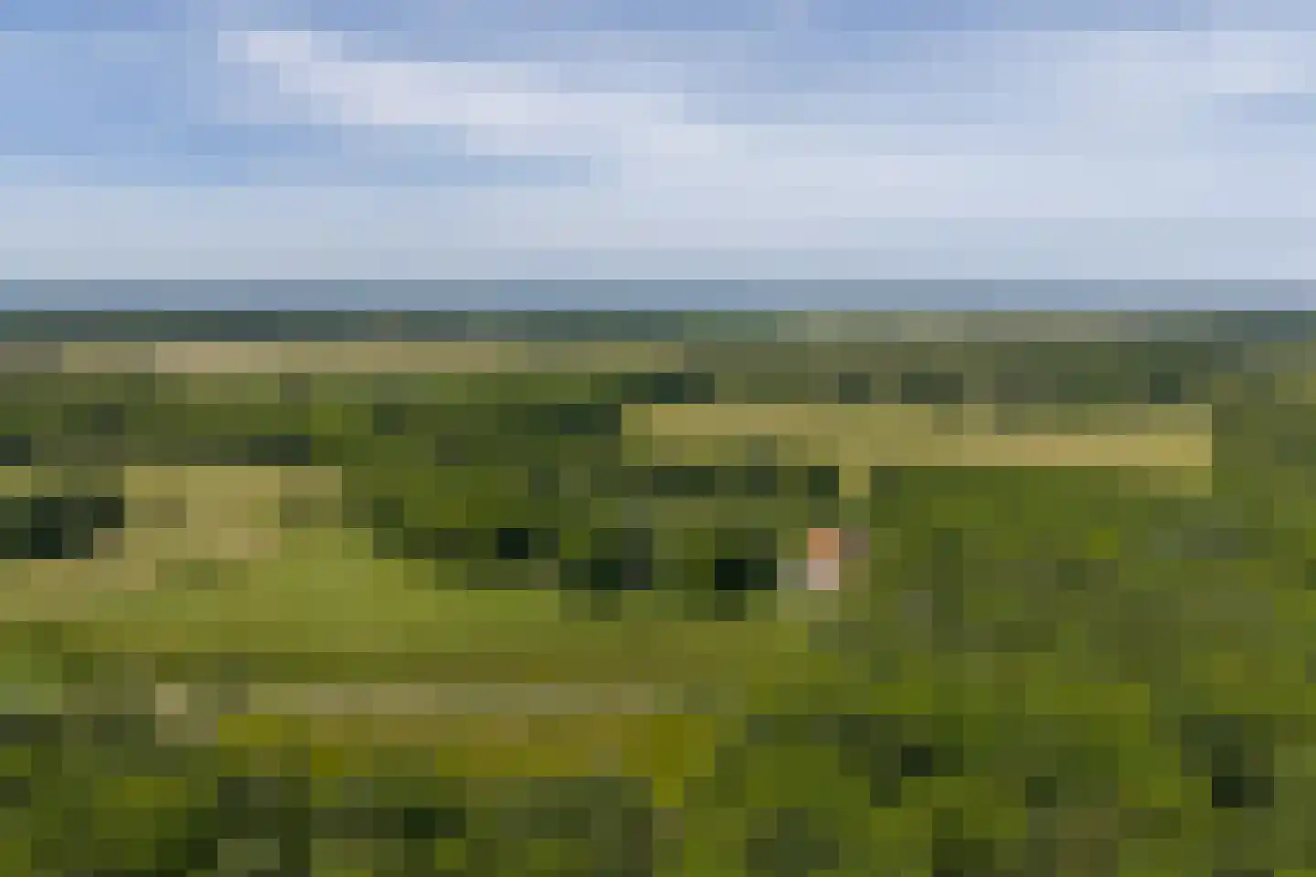 Vijftig Bunder 3 Midlaren