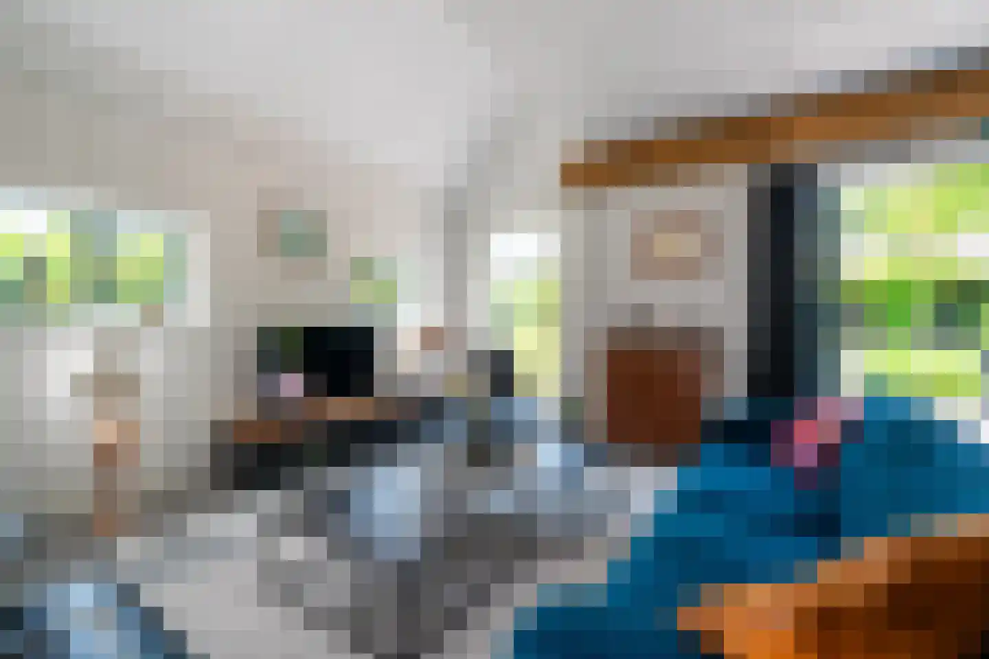 Vijftig Bunder 3 Midlaren thumbnail 101