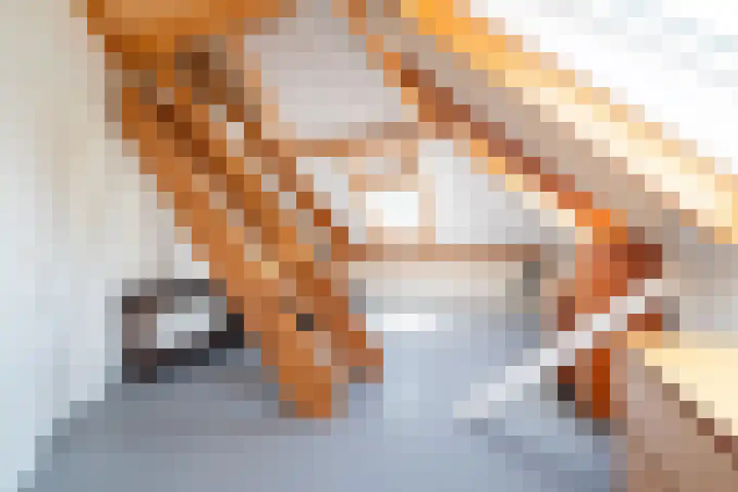 Vijftig Bunder 3 Midlaren thumbnail 106