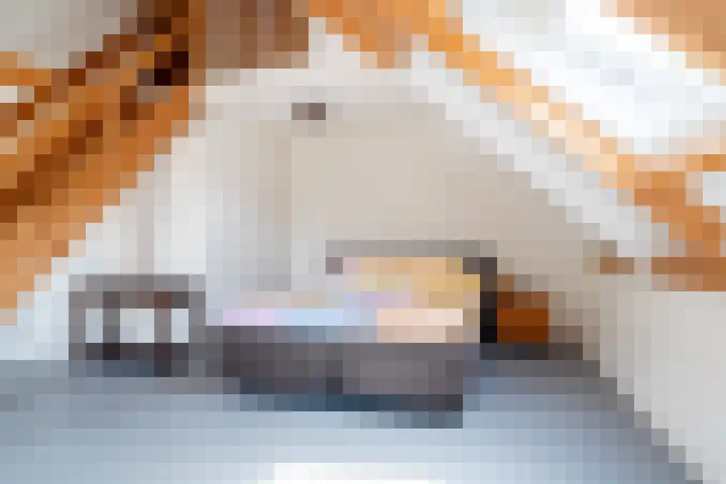 Vijftig Bunder 3 Midlaren thumbnail 108