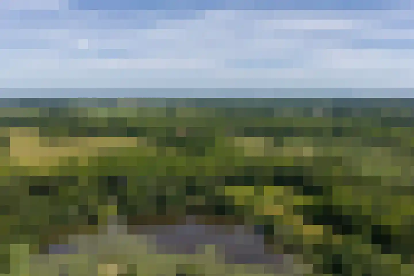 Vijftig Bunder 3 Midlaren thumbnail 11