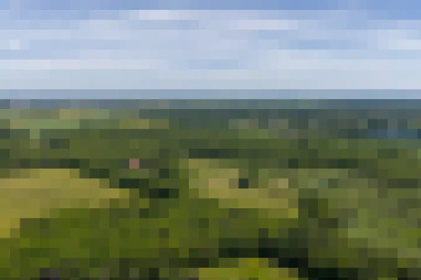 Vijftig Bunder 3 Midlaren thumbnail 12