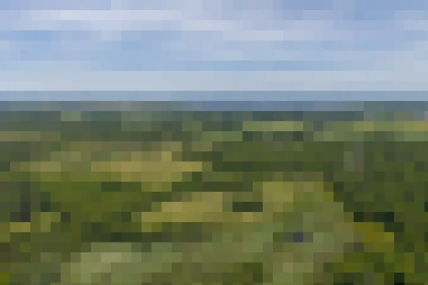 Vijftig Bunder 3 Midlaren thumbnail 13