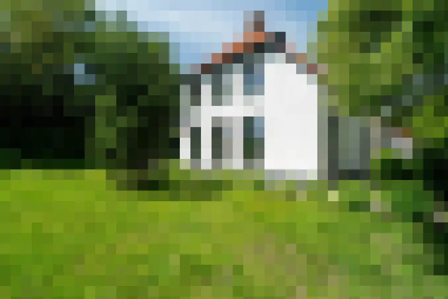 Vijftig Bunder 3 Midlaren thumbnail 17