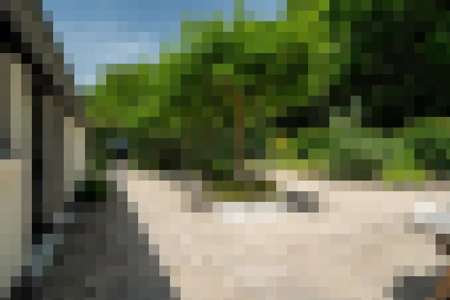 Vijftig Bunder 3 Midlaren thumbnail 19