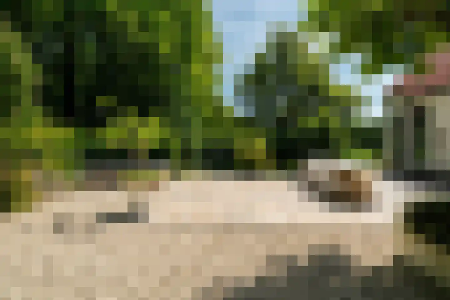 Vijftig Bunder 3 Midlaren thumbnail 20