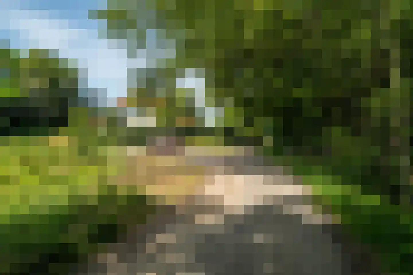 Vijftig Bunder 3 Midlaren thumbnail 21