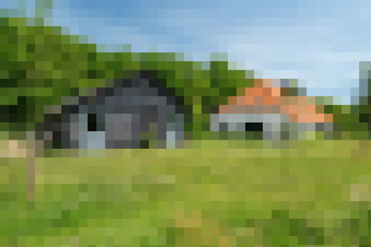 Vijftig Bunder 3 Midlaren thumbnail 25