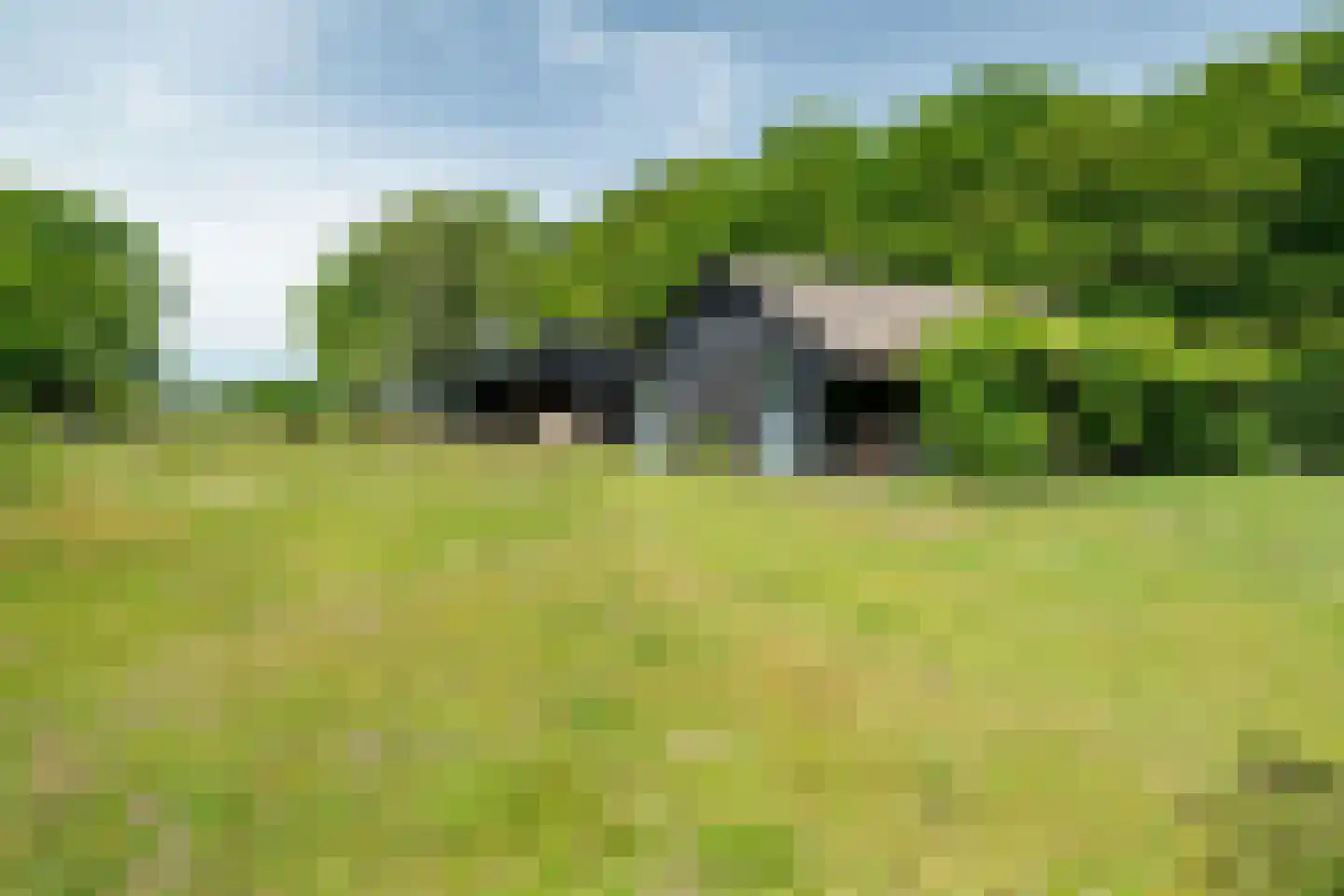 Vijftig Bunder 3 Midlaren thumbnail 26