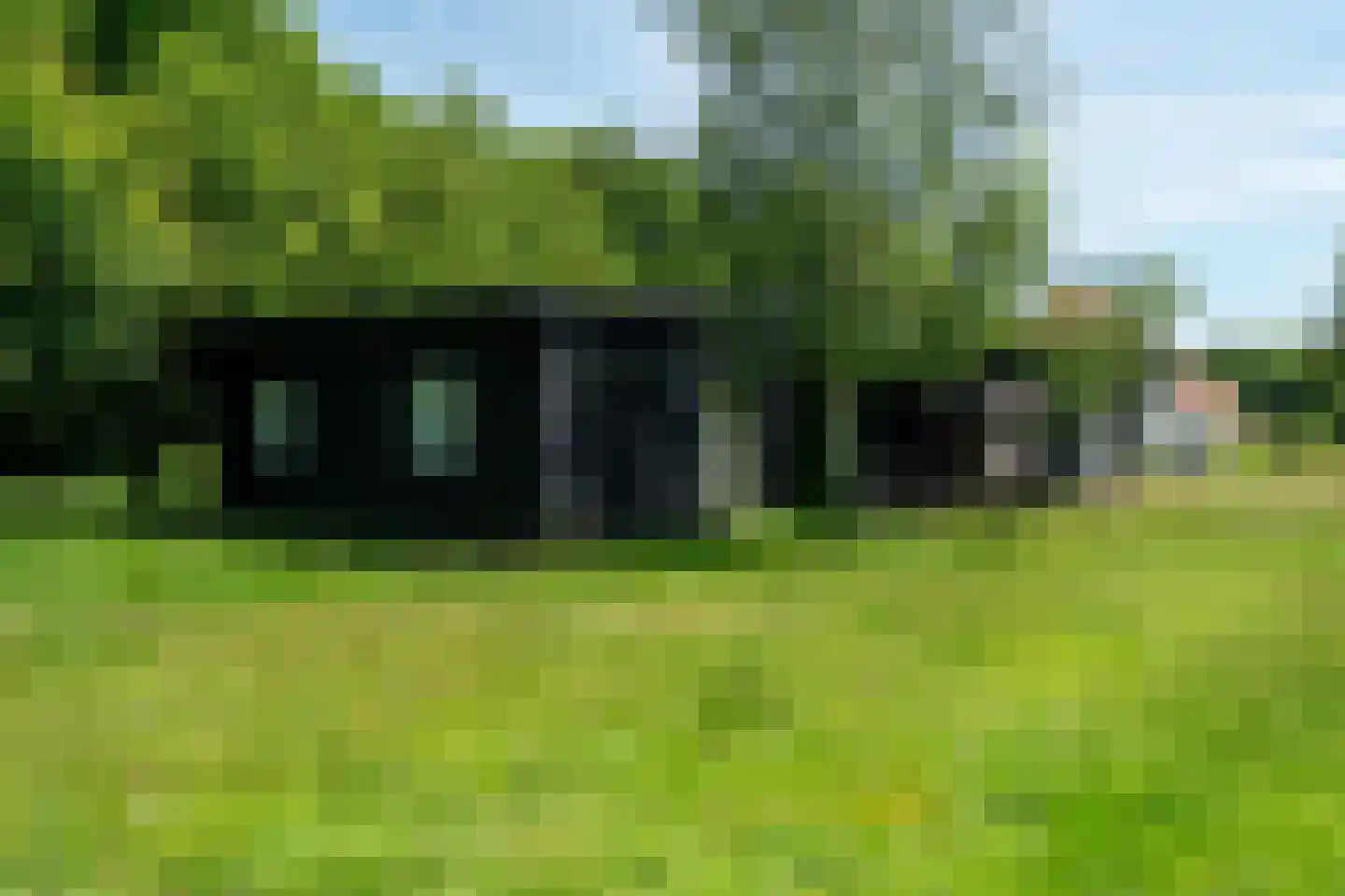 Vijftig Bunder 3 Midlaren thumbnail 28