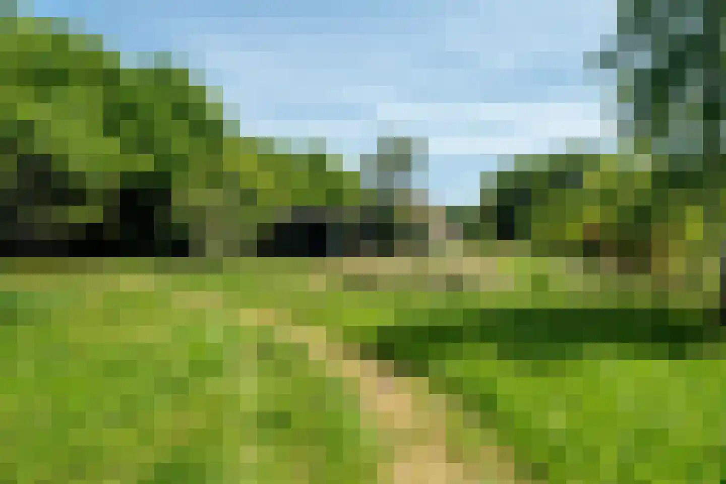 Vijftig Bunder 3 Midlaren thumbnail 29