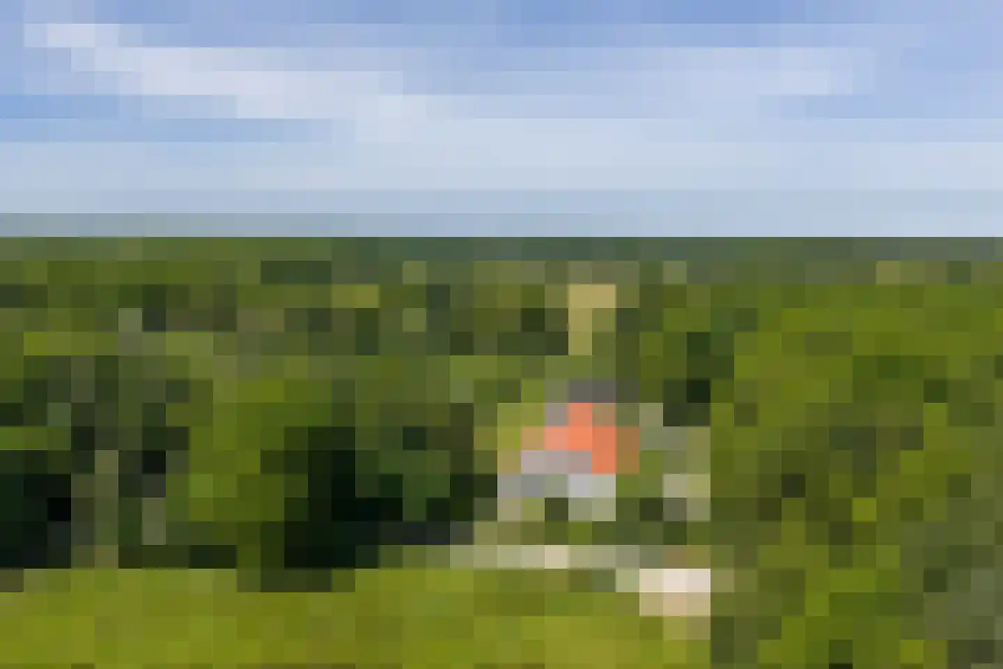 Vijftig Bunder 3 Midlaren foto 3