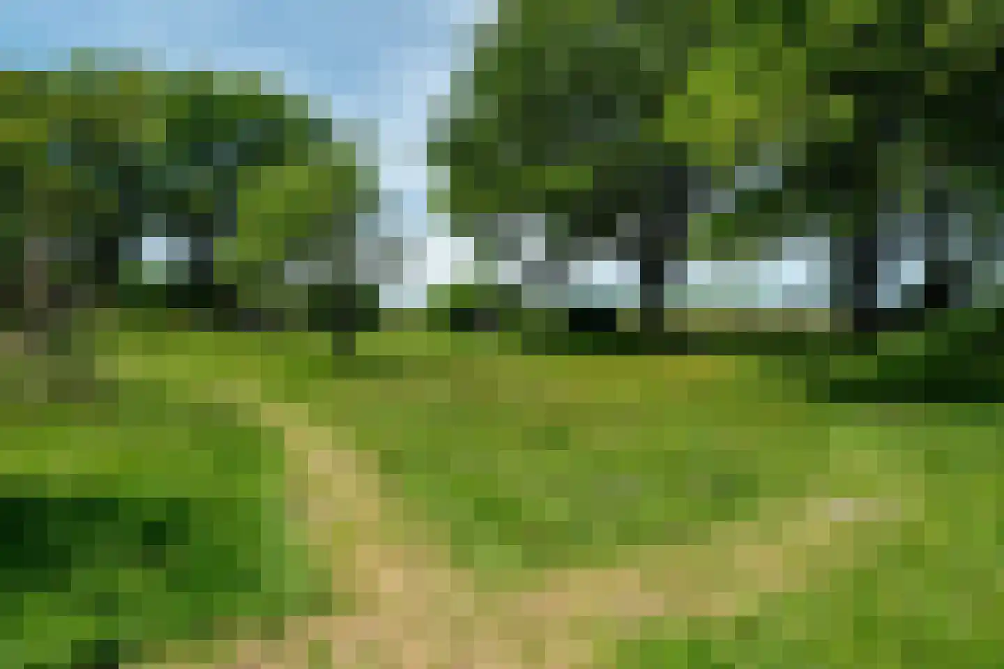Vijftig Bunder 3 Midlaren thumbnail 30