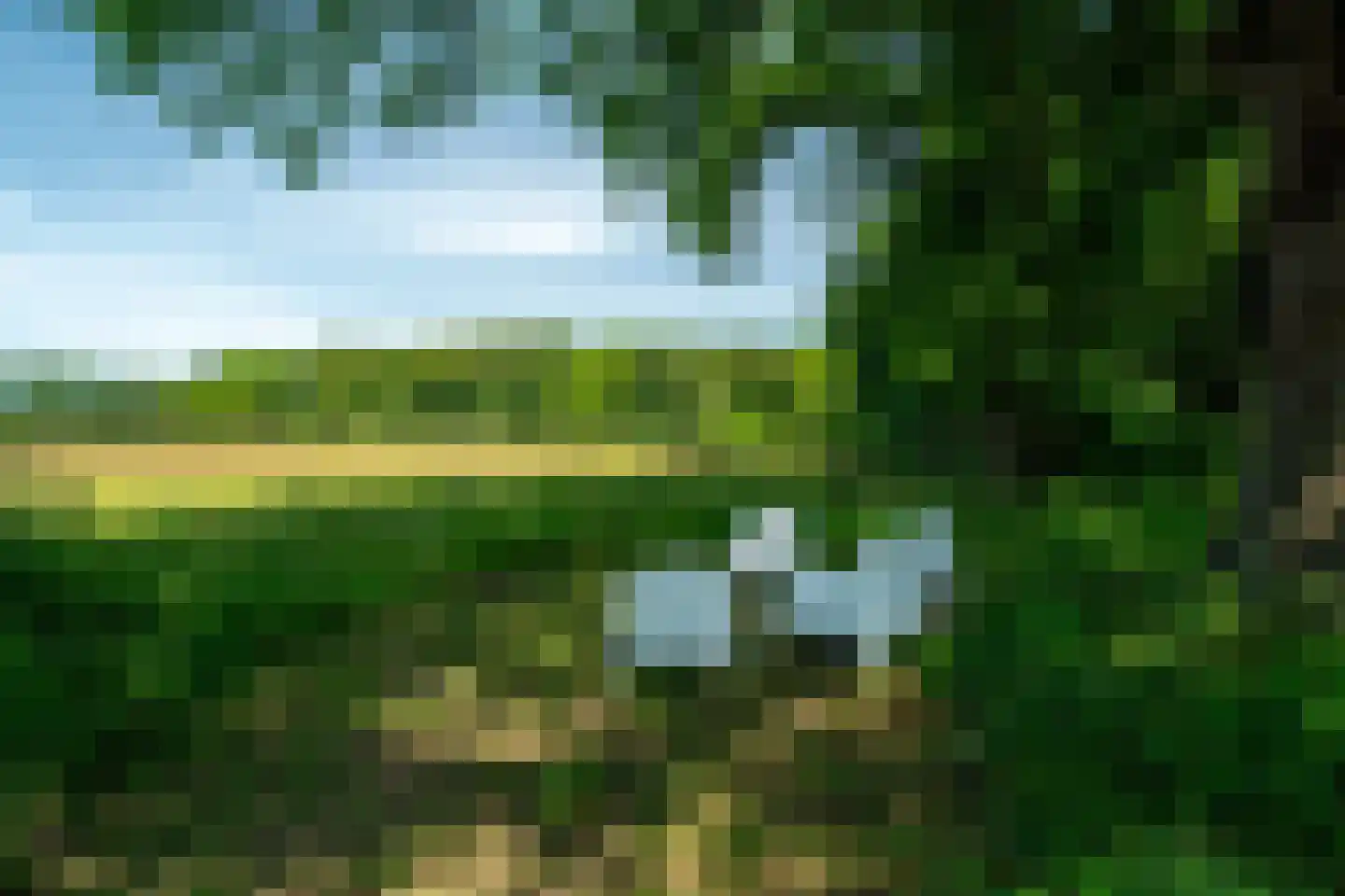Vijftig Bunder 3 Midlaren thumbnail 31