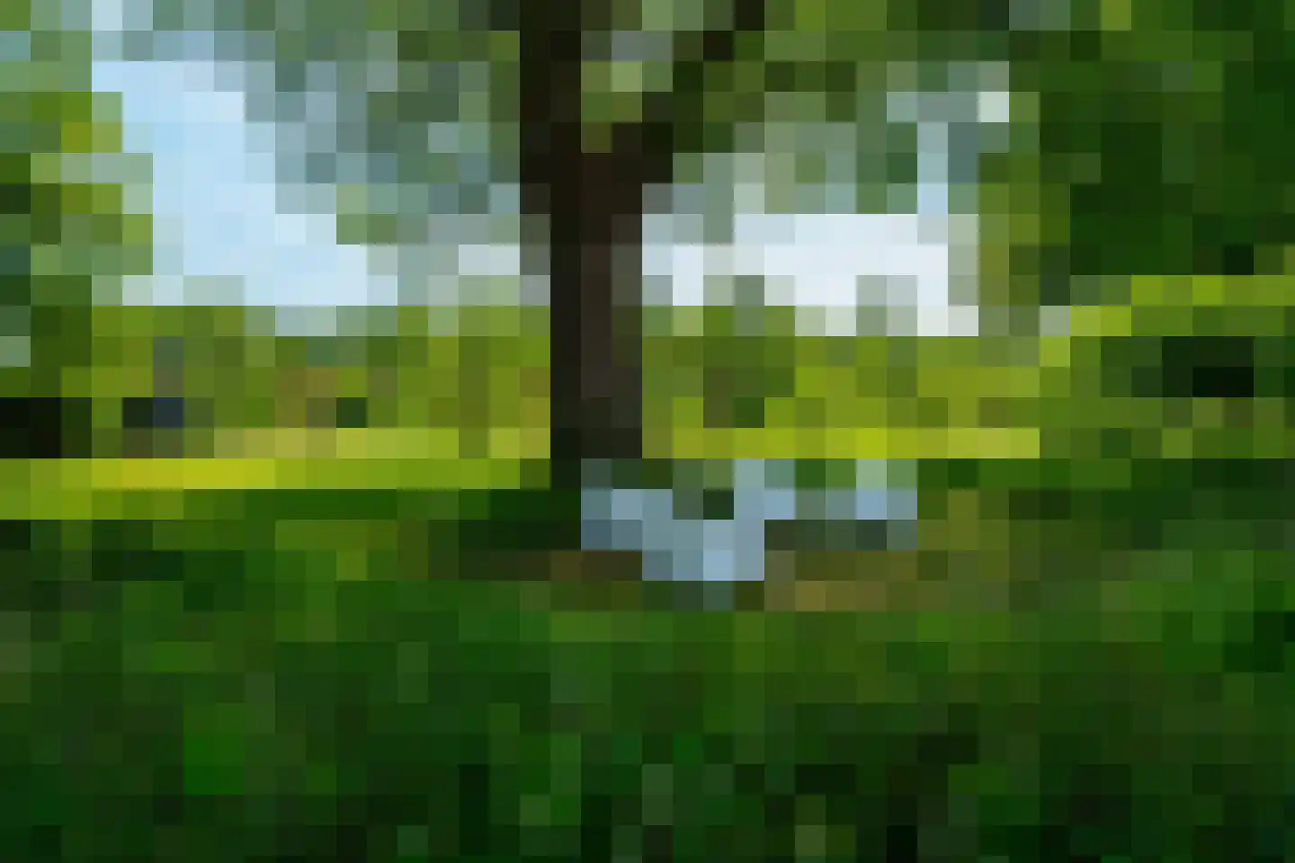 Vijftig Bunder 3 Midlaren thumbnail 32