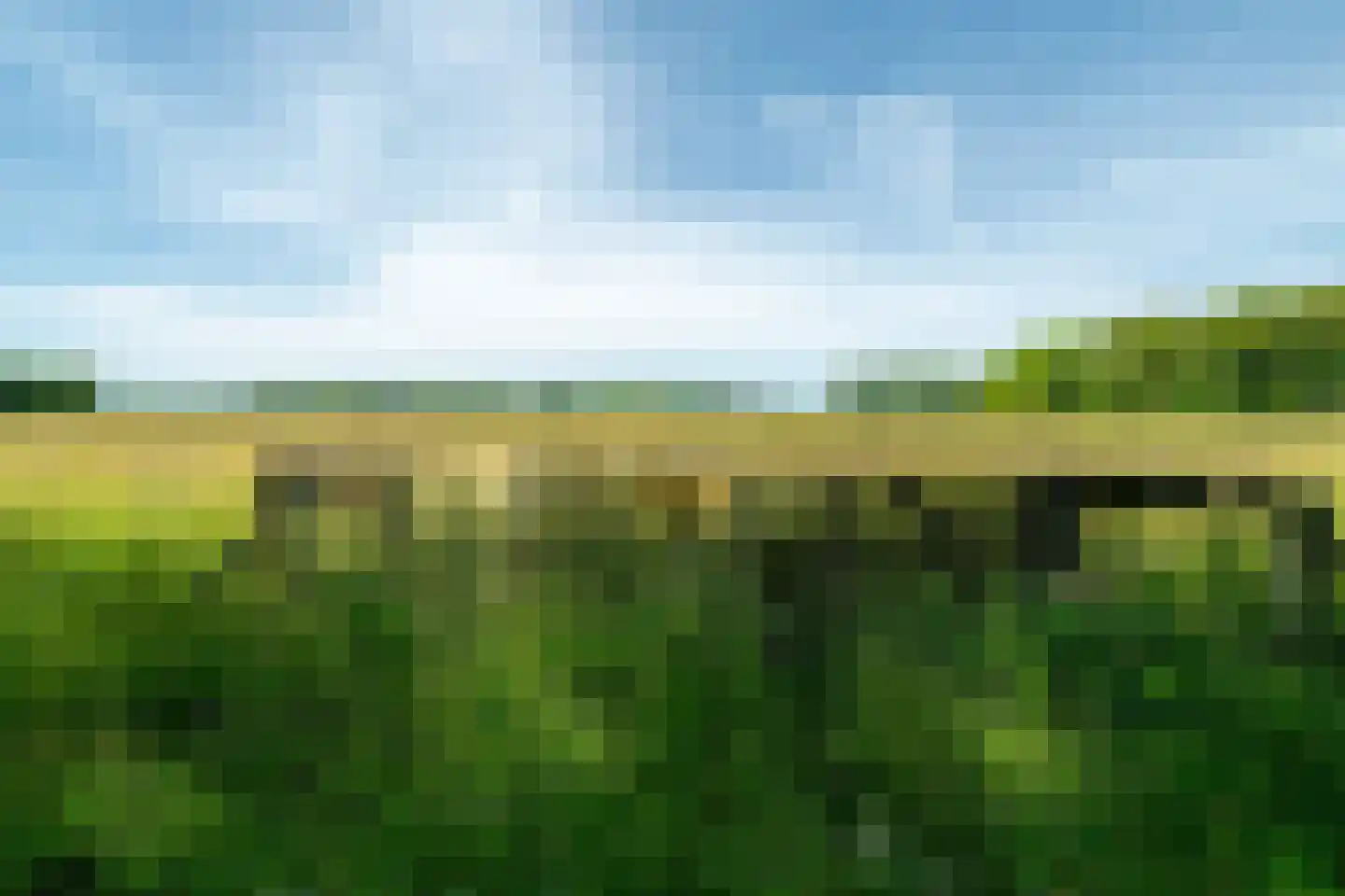 Vijftig Bunder 3 Midlaren thumbnail 33