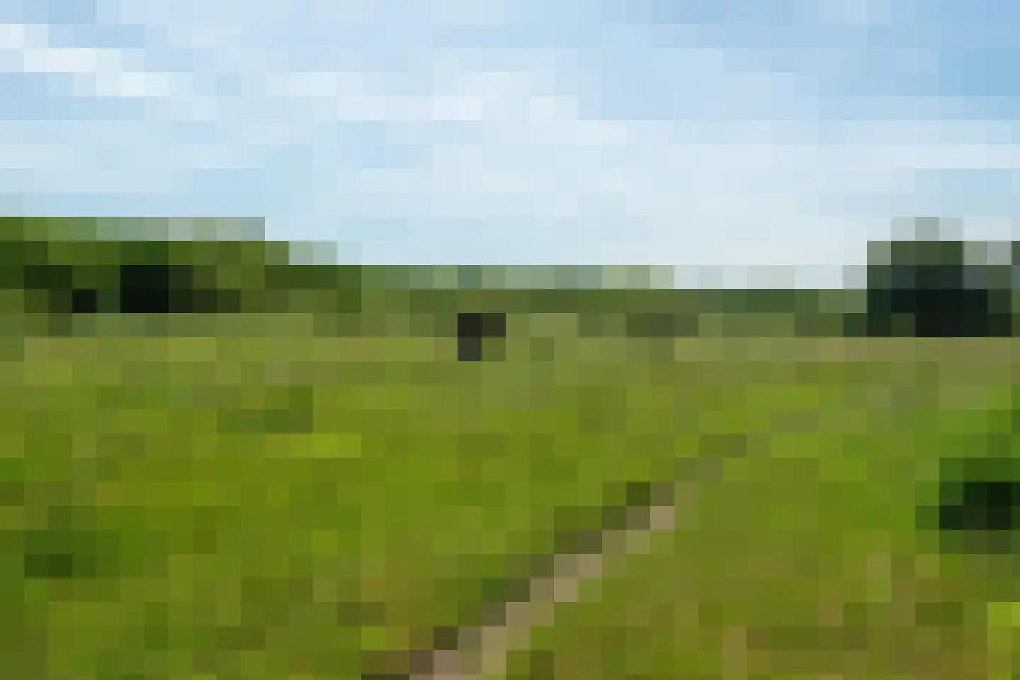 Vijftig Bunder 3 Midlaren thumbnail 35