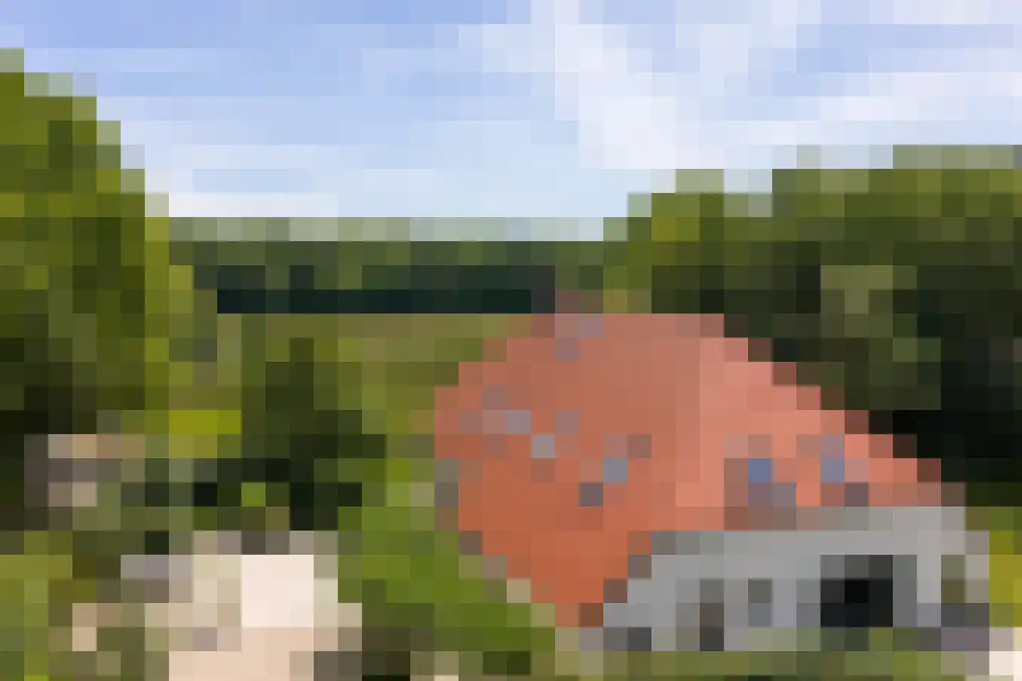 Vijftig Bunder 3 Midlaren thumbnail 6