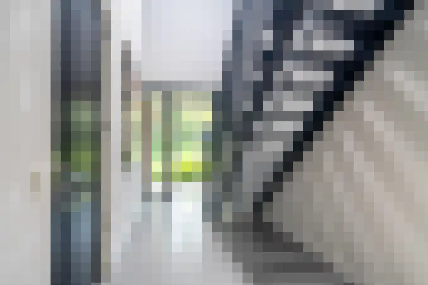 Vijftig Bunder 3 Midlaren thumbnail 65